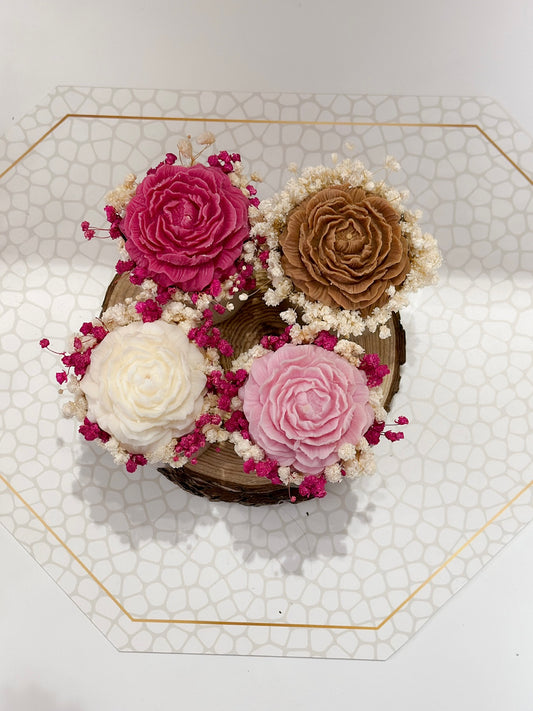 La Pivoine Éternelle