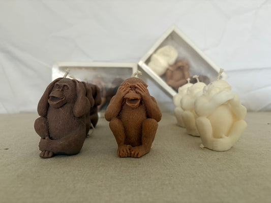 Coffret - Les singes sages